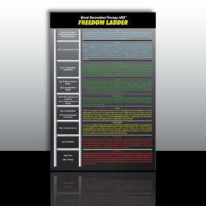 MRT Freedom Ladder Color Poster