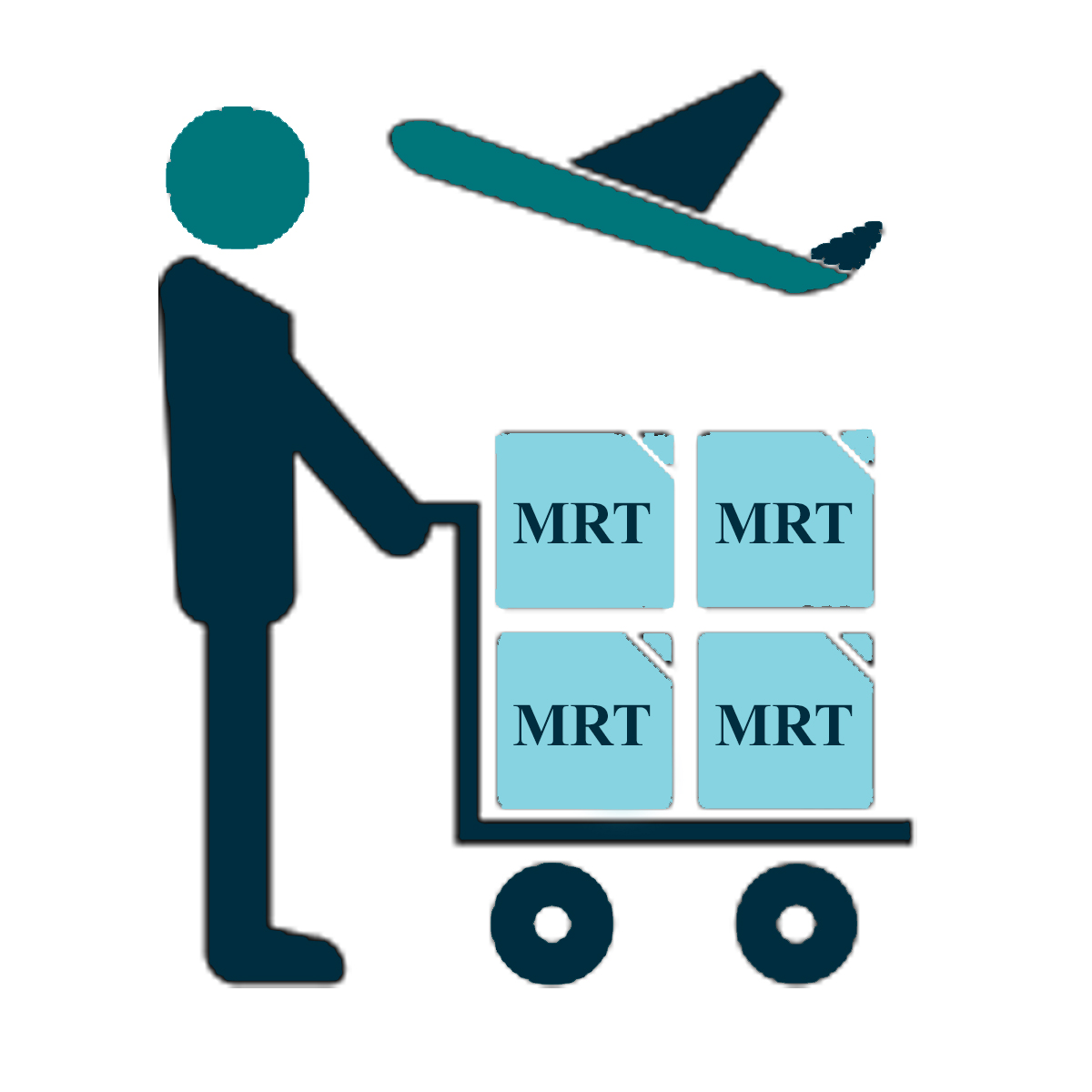 Special Shipping/Handling Charges (includes international) Moral Reconation Therapy MRT