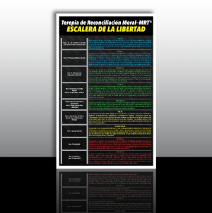 MRT Freedom Ladder Color Poster - SPANISH